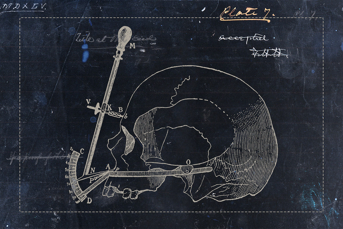 Craniometry, an Object Graphic by Sick Optix (Photo 6 of 8)