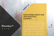 Rhombus Coming Soon PSD Template, a Websites & App Template by Viktor (Thumbnail 6 of 8)