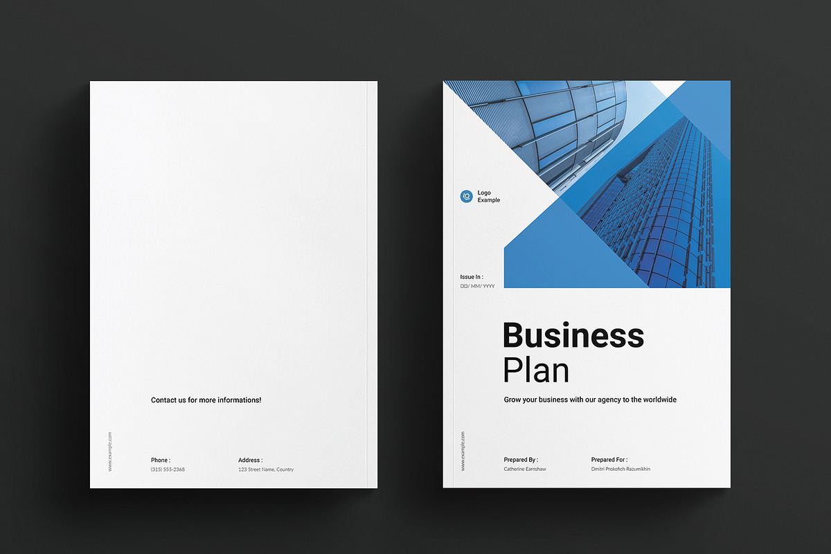 Business Plan Template, a Brochure Template by E-Type (Photo 7 of 7)