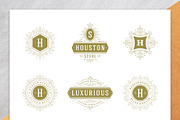 36 Luxury Ornament Logos, a Branding & Logo Template by Vasya Kobelev (Thumbnail 5 of 14)