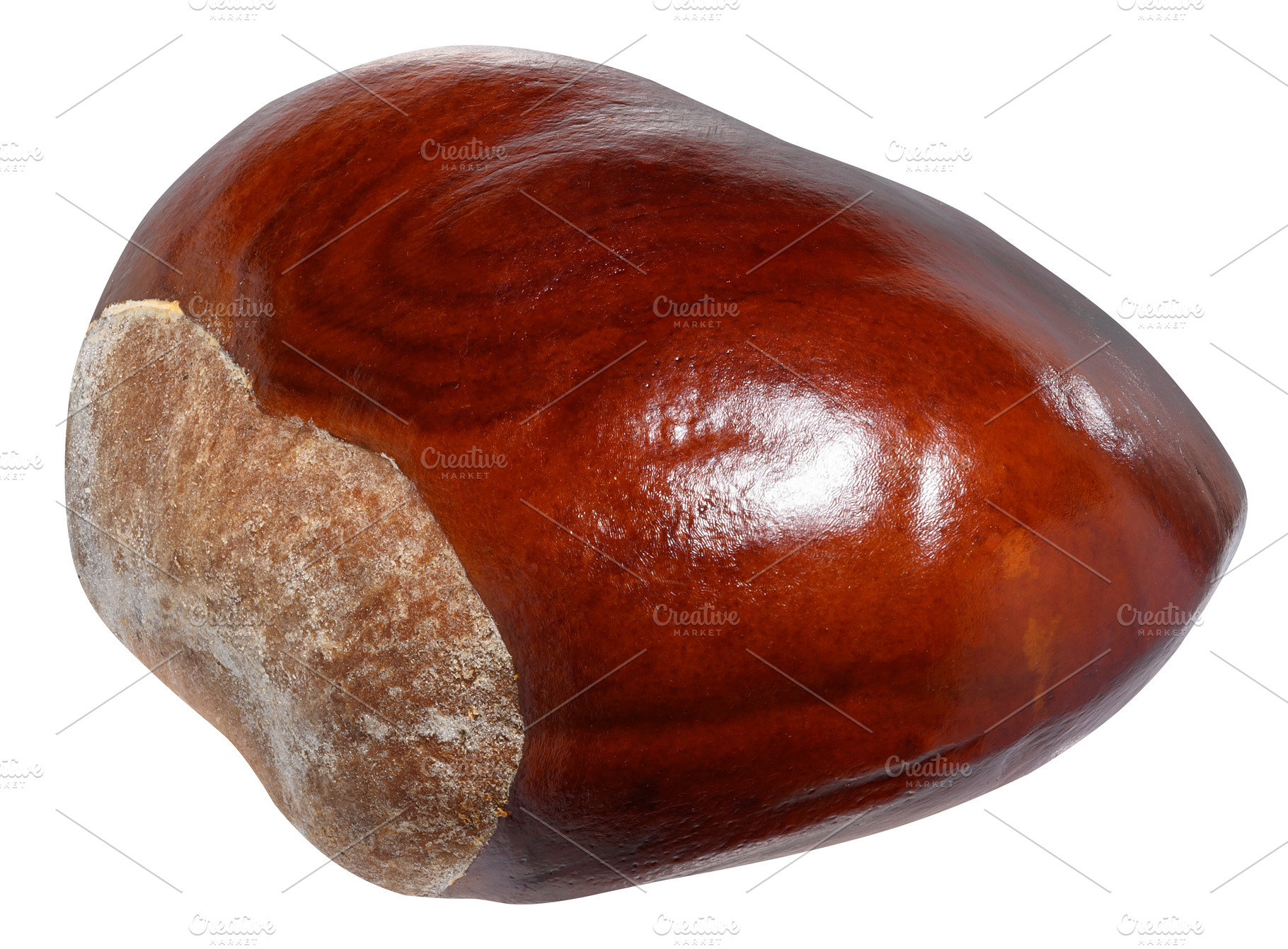 A horse chestnut with a smooth, shiny, brown surface., a Food & Drink Photo by ndanko