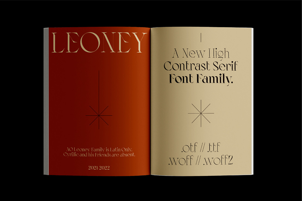 AO Leoney - Display Font Family, a Serif Font by OwunStudio (Photo 2 of 22)