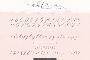 Antara Script Wedding Font