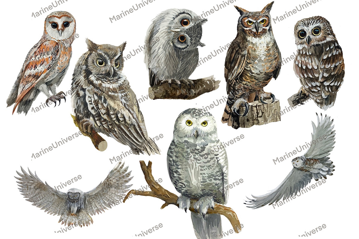 Owls in the forest .Woodland., an Animal Illustration by AkvarelRiver (Photo 2 of 9)