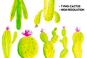 Cactus Collection, an Illustration by by Aline Albino (Thumbnail 3 of 3)