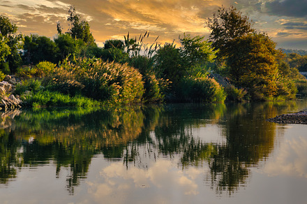 lush green bushes and trees grow along the river and are reflected in the calm, a Nature Photo by TanaCh