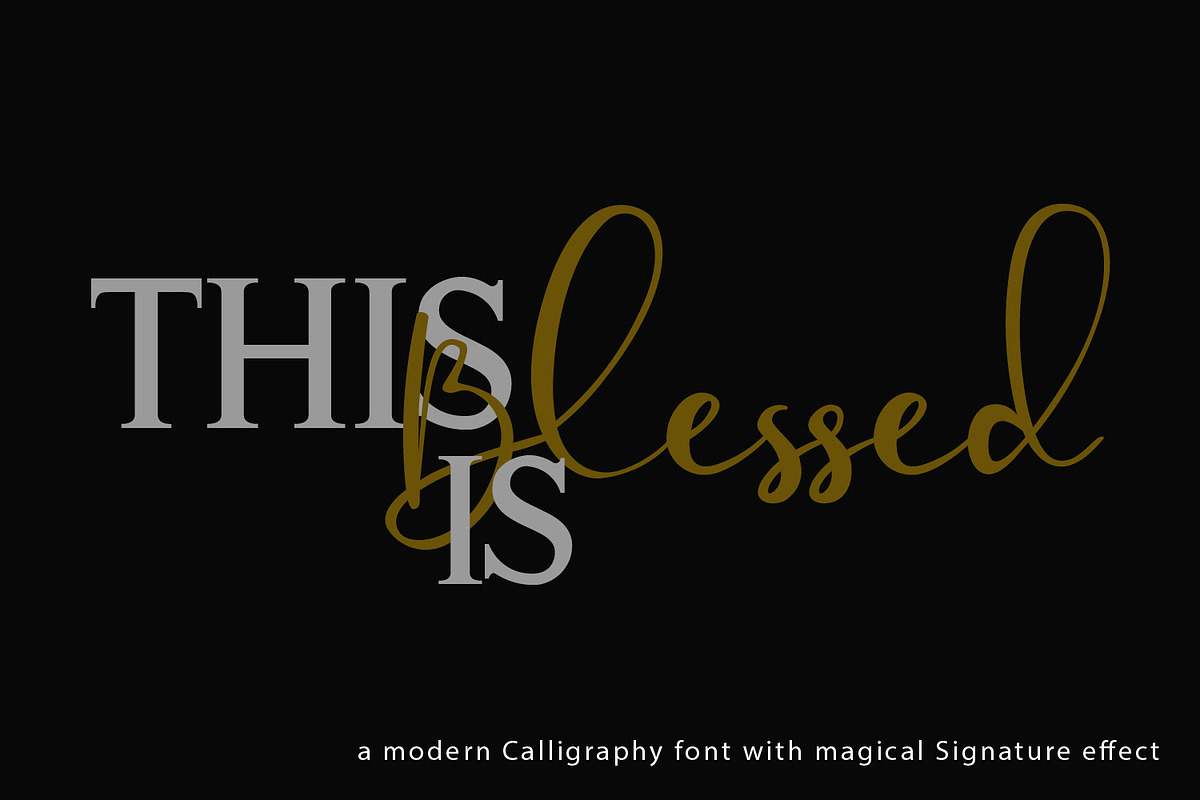 Fansthome | Signature effect, a Script Font by Qaratype (Photo 2 of 22)