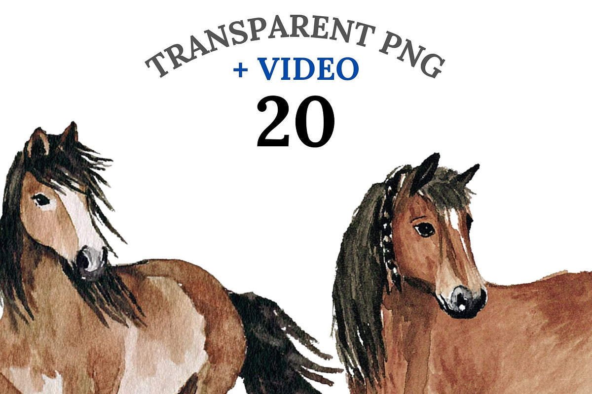 20 Horse Clipart, an Animal Illustration by Pati Charm Studio (Photo 1 of 8)