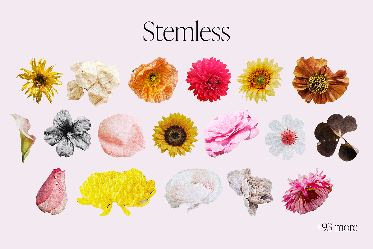 Vintage Newsprint Floral Collage Kit, an Object Graphic by Peaches Design (Photo 6 of 6)