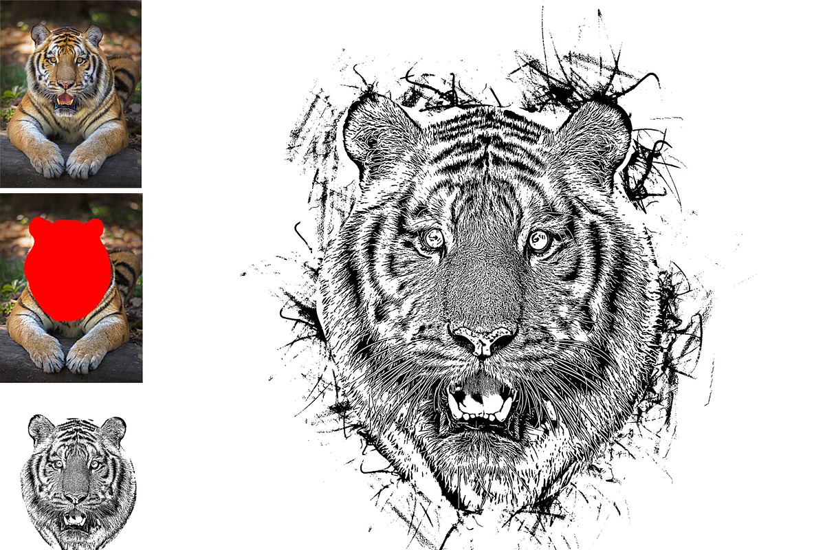 Vector Tracing Photoshop Action, an Action Add-On by MRI STUDIO (Photo 4 of 21)
