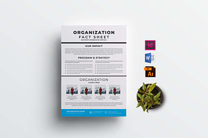 Nonprofit Organization Fact Sheet, a Flyer Template by design_hut