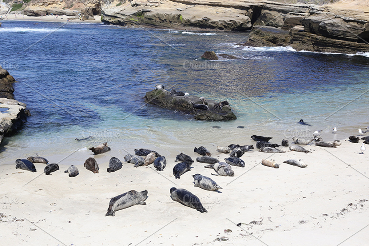 MegaPack 50+ Beach and Ocean Photos, a Nature Photo by Crusader12 (Photo 4 of 5)