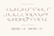 Sunroll - Modern Elegant Serif, a Serif Font by HansCo Studio (Thumbnail 13 of 14)