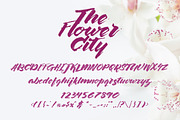 The Flower City, a Script Font by wubstudio (Thumbnail 5 of 6)