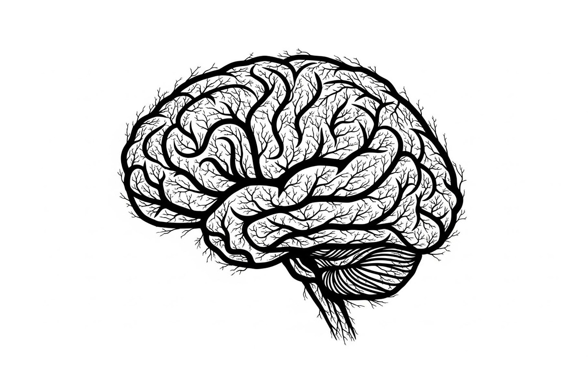 Brain Tree Knowledge Design Bundle, an Illustration by Gaye Art (Photo 4 of 31)