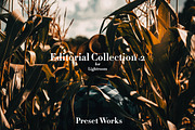 Editorial v2 Lightroom Collection, an Action Add-On by Preset Works (Thumbnail 1 of 4)