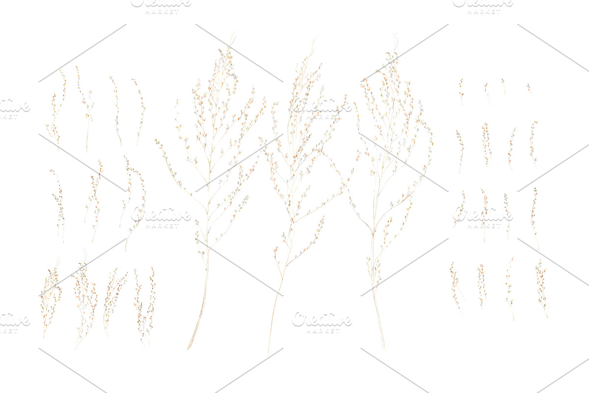 Nature's Calm, a Pattern Graphic by Note And Silence (Photo 4 of 15)