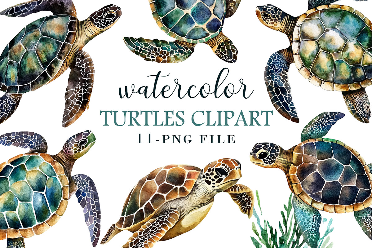 Watercolor Turtles Clipart, an Illustration by Libby Wishes (Photo 1 of 3)