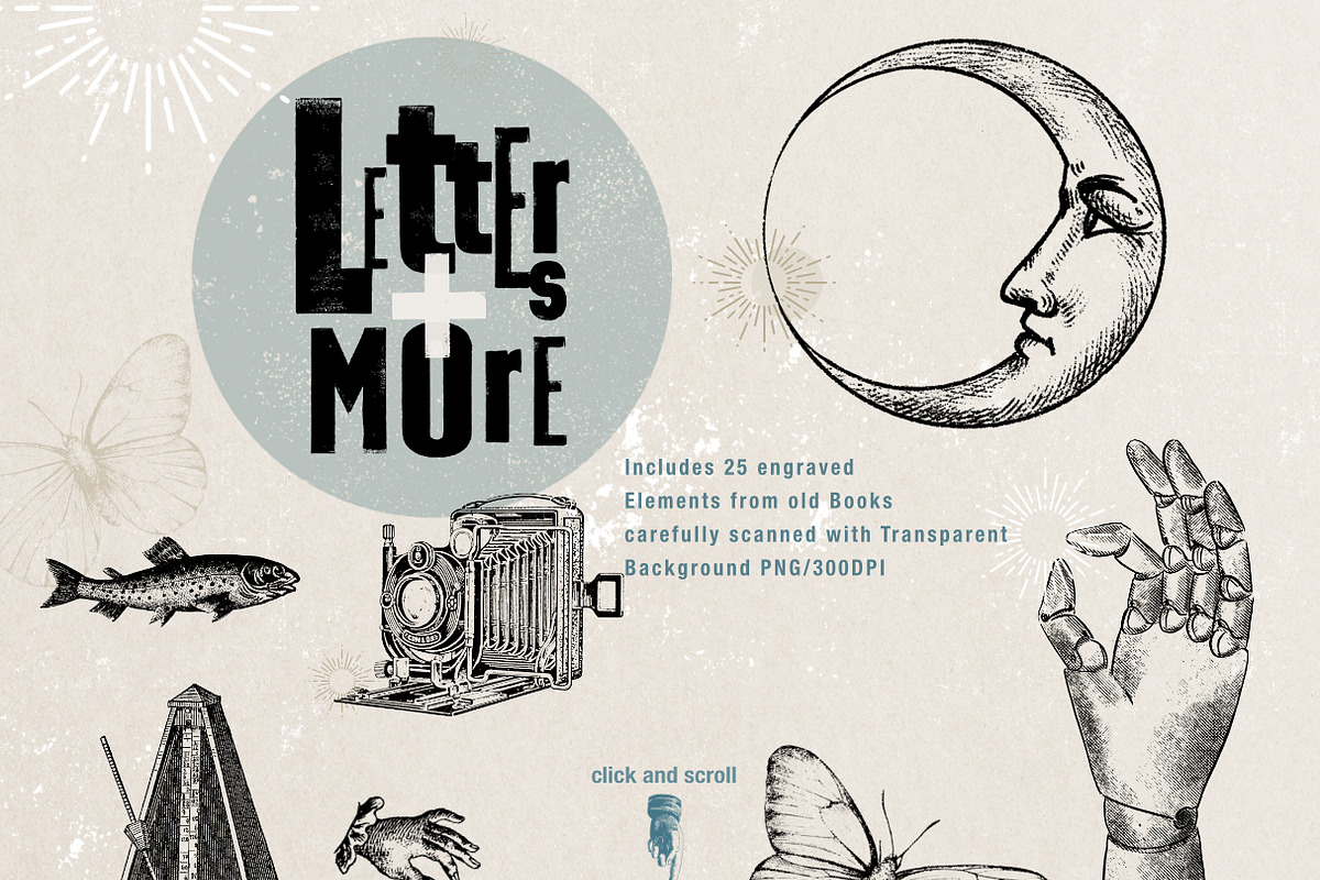 Letters and vintage Graphic Elements, an Illustration by beehouse studio (Photo 3 of 10)