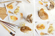 Chicken Seamless Patterns, a Pattern Graphic by Lumitar (Thumbnail 7 of 7)