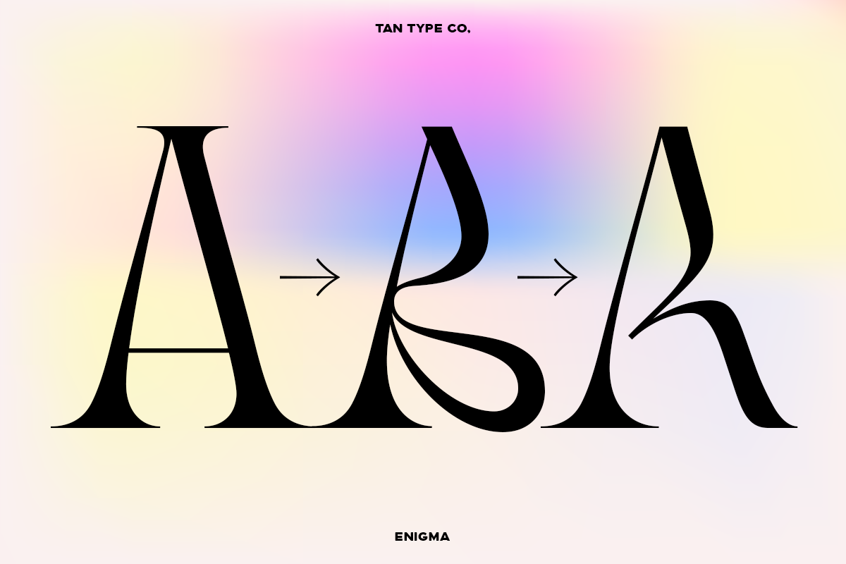 TAN - ENIGMA, a Serif Font by TanType (Photo 8 of 16)