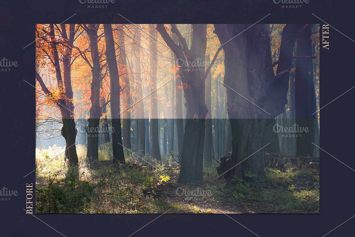 Red Aurora Artistic Lightroom Preset, an Action Add-On by Mark Borbely (Photo 6 of 14)