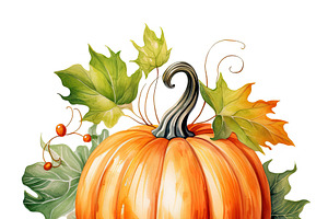 Many Pumpkins Illlustration Cartoon Ready To Decorate Houses At Halloween. Gene