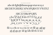 Idealist Serif, a Serif Font by Nicky Laatz (Thumbnail 33 of 34)