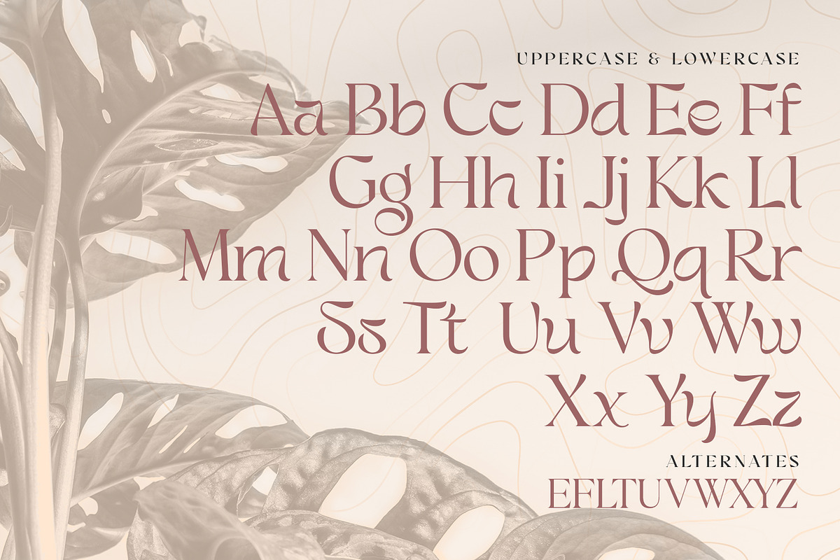 Bestagrach - Unique Ligatures Serif, a Serif Font by Mokatype Studio (Photo 8 of 10)