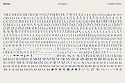 Biarritz Luxury Editorial Serif, a Serif Font by Genilson Santos (Thumbnail 17 of 17)
