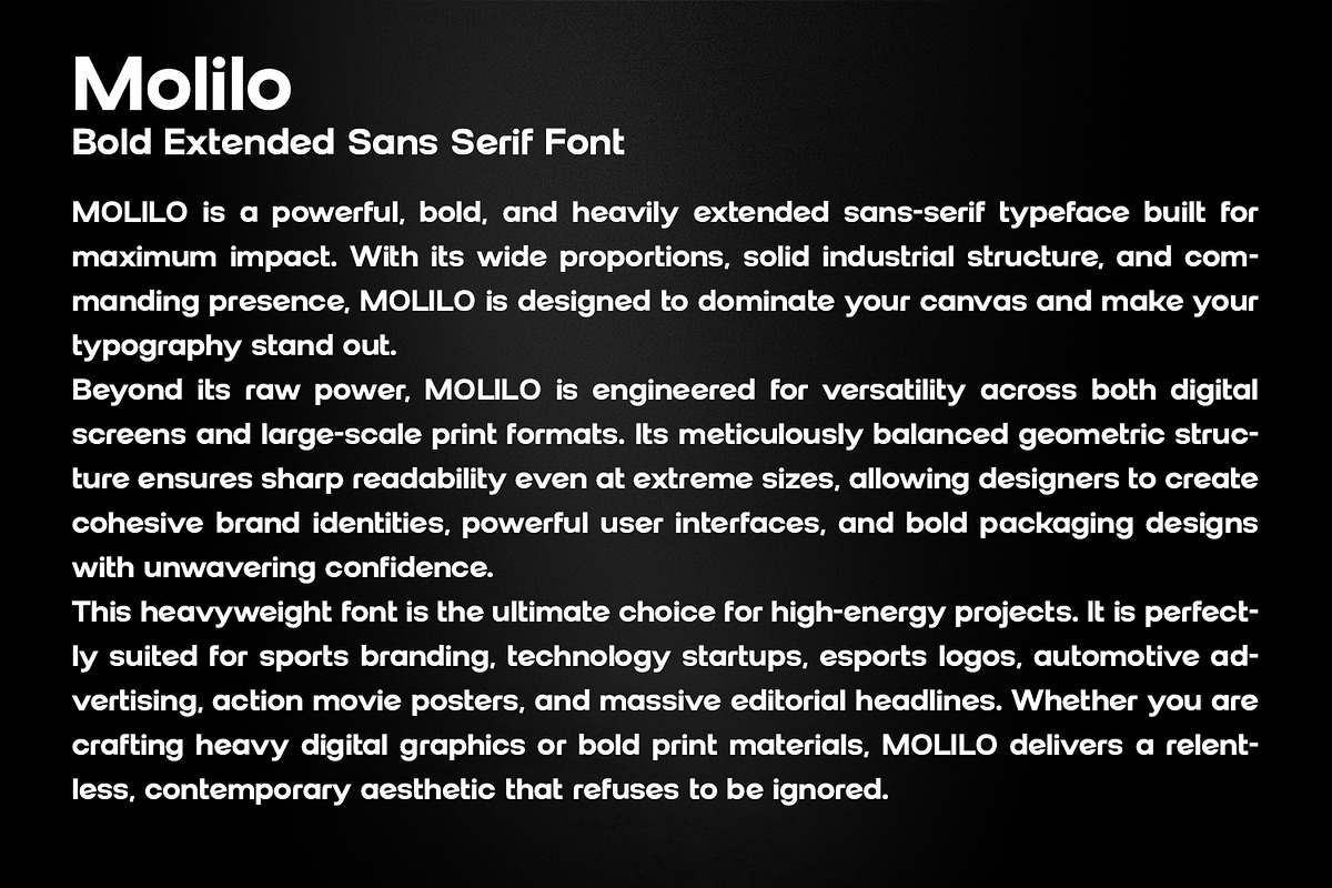 MOLILO - Wide Urban Fashion Typeface, a Sans Serif Font by OWPictures (Photo 9 of 10)