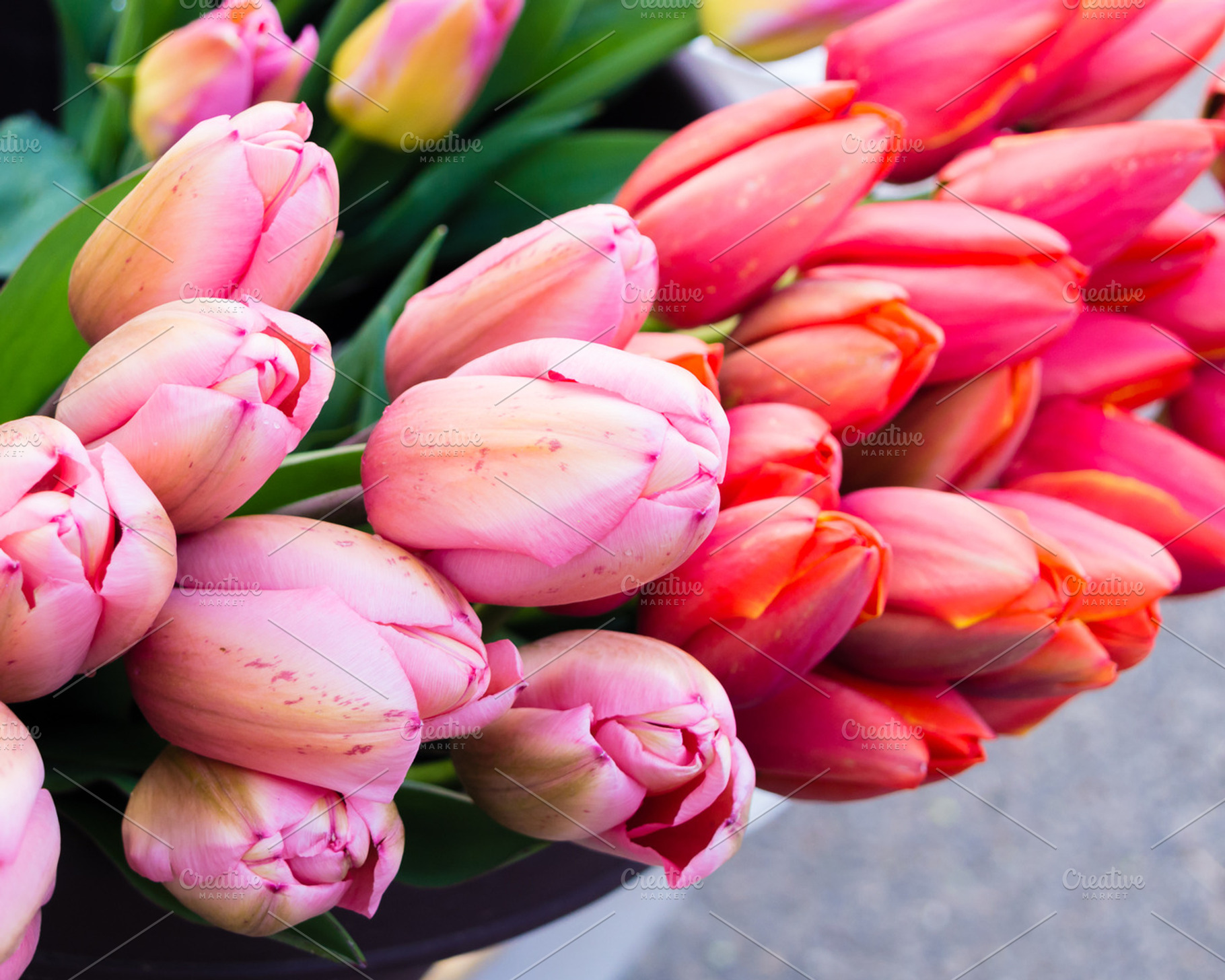 Tulip Flowers For Sale At The Market