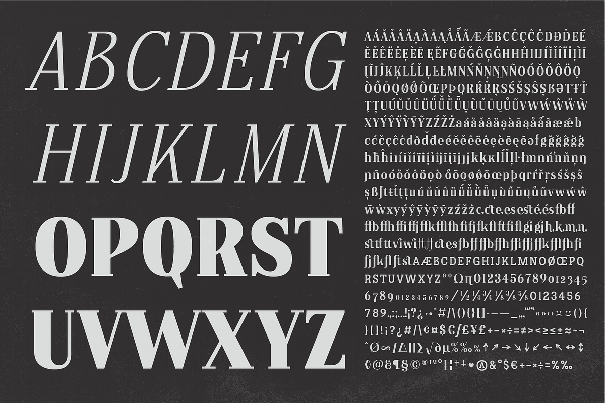 Petroles - Font Family, a Font by Punch (Photo 7 of 7)