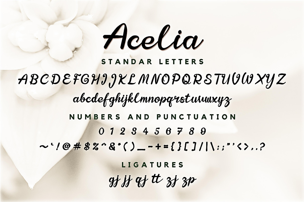 Acelia Font Script, a Script Font by Ahmad Pkp Studio (Photo 4 of 5)