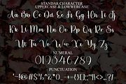 Valentina, a Handwritten Font by FreshTypeINK (Thumbnail 5 of 8)