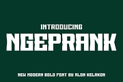 Ngeprank, a Serif Font by alon kelakon