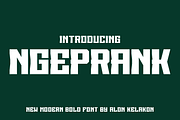 Ngeprank, a Serif Font by alon kelakon (Thumbnail 1 of 5)