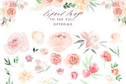 Soft Blush Floral Watercolor Set, an Illustration by One and Only Paper (Thumbnail 3 of 7)