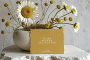 Tejas Mockup Collection, a Mac Mockup by Studio Santosha (Thumbnail 5 of 12)