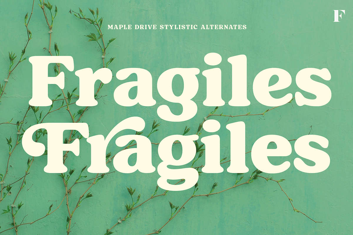 Maple Drive Retro Typeface, a Serif Font by Fenotype (Photo 11 of 13)