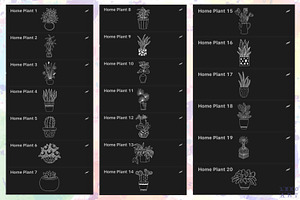 Home Plants Brush Stamps Procreate