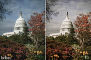 20 Natural Lightroom Presets, an Action Add-On by Olg Store (Thumbnail 4 of 24)