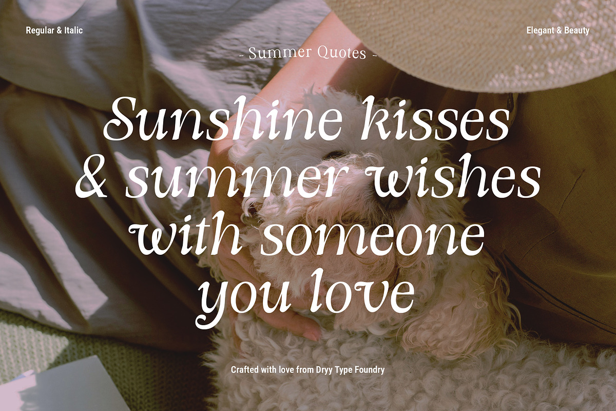 DT Morelish - Serif Display, a Serif Font by Dryy.type (Photo 9 of 12)