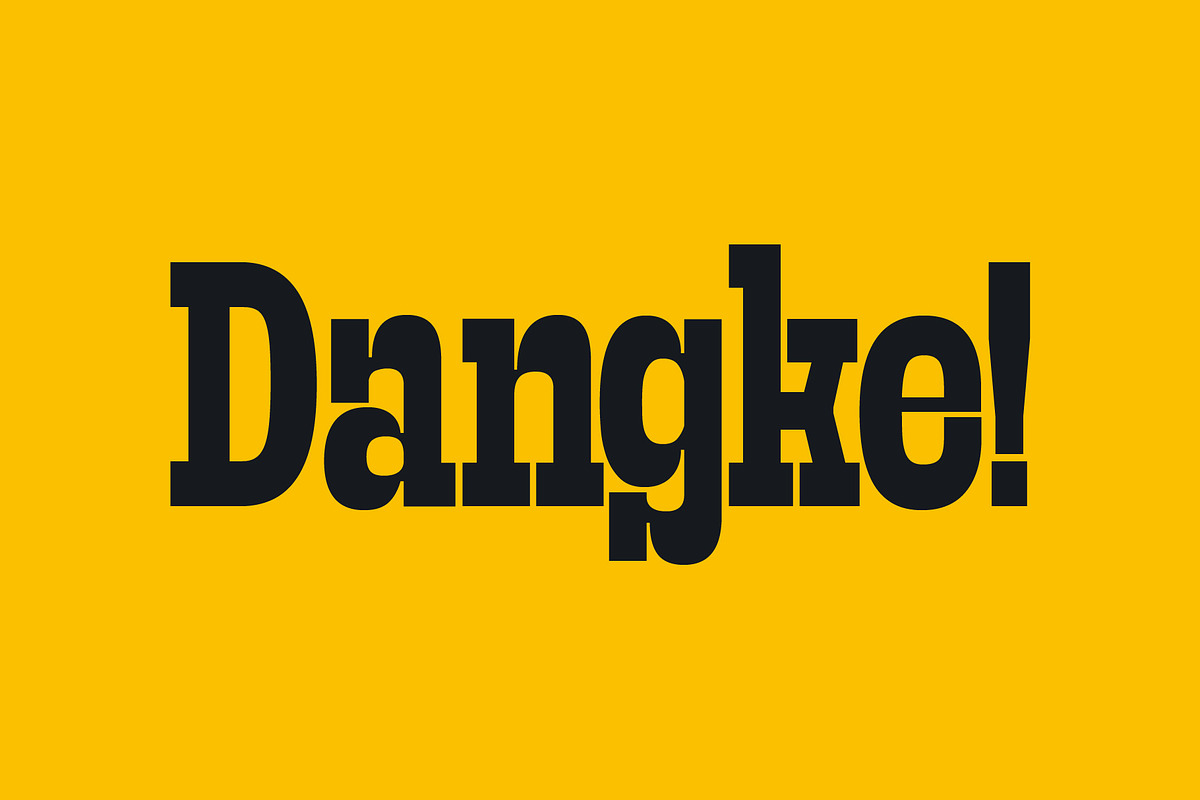 Frust Stonig - Inktrap Slab Serif, a Slab Serif Font by Variatype (Photo 12 of 12)