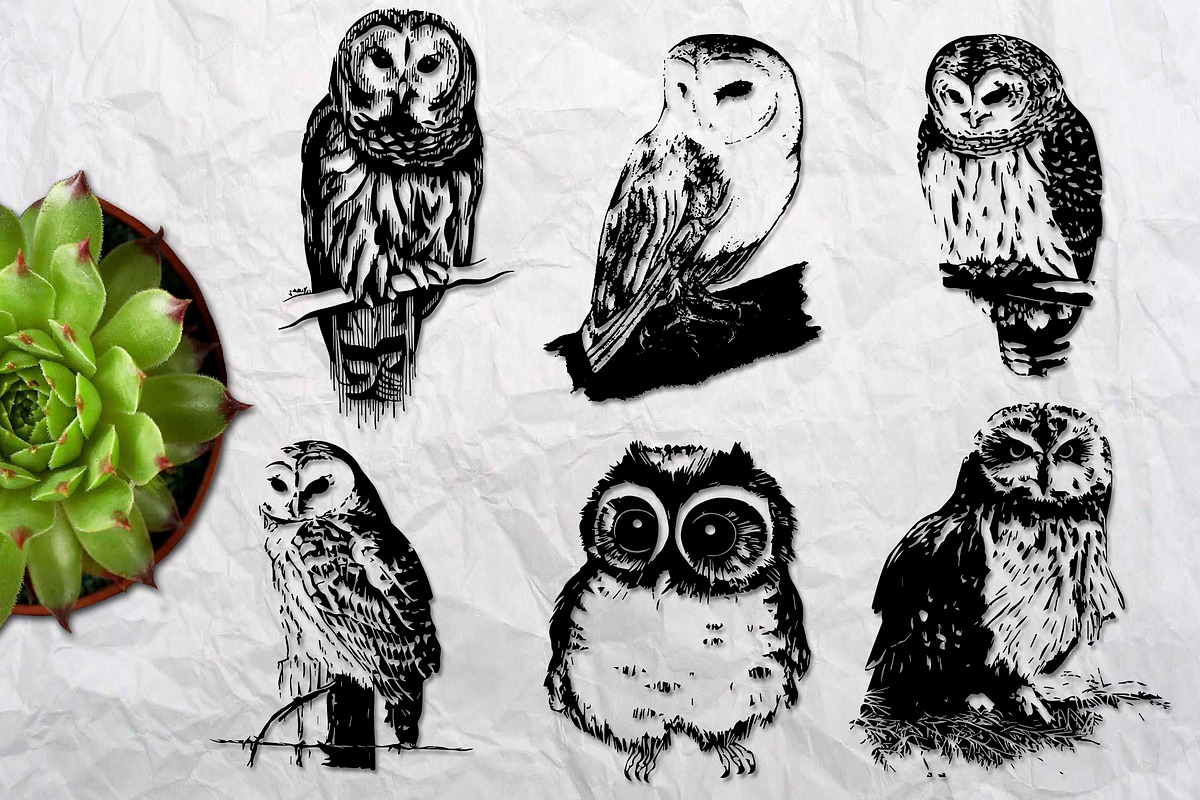 Wild owls. 22 graphic illustrations, an Illustration by AnastasiyaOleynik (Photo 3 of 4)
