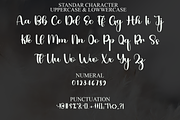 Script Style, a Handwritten Font by FreshTypeINK (Thumbnail 8 of 8)