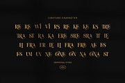 Vioner Elegant Luxury Serif Font, a Serif Font by Graphicxell (Thumbnail 8 of 8)
