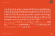 Captione, a Serif Font by Zafara Studios (Thumbnail 8 of 9)