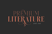 Brioche - (ExtraLight & SemiBold), a Font by Sarid Ezra (Thumbnail 4 of 6)