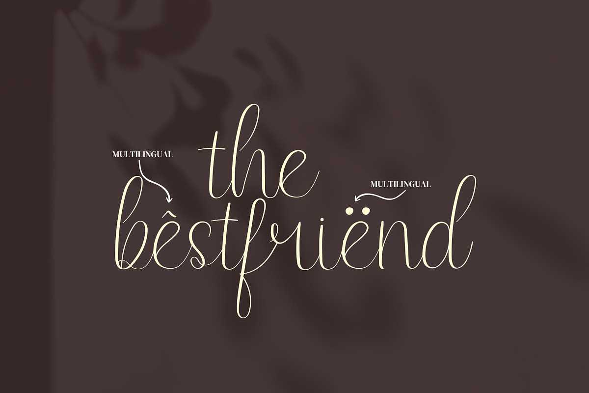 Endelly Script Fonts, a Script Font by mahstudios (Photo 9 of 15)